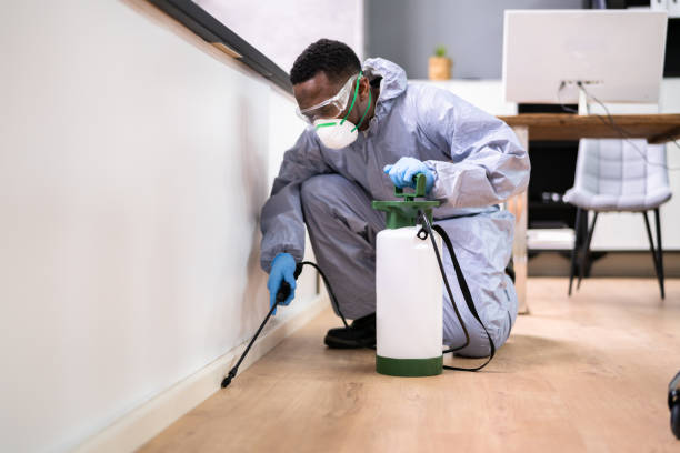 Reliable Woodcrest, CA Pest Control Solutions